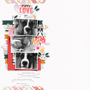 Puppy Love