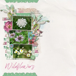 Wildflowers