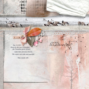 NBK-Design_2022-02_February_SOSN_0216_Dear-Diary_web
