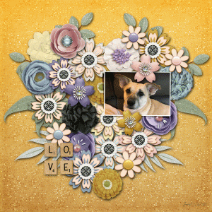 LOD0216_bg_love