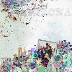2021-Arizona-cactus-