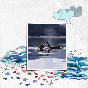 Whales