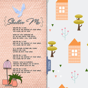 Shelter Me