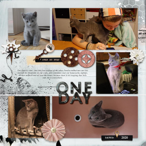 20_one Day Cat