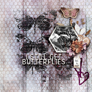 Butterflies