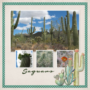 Saguaro