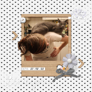 220223_cat Cute