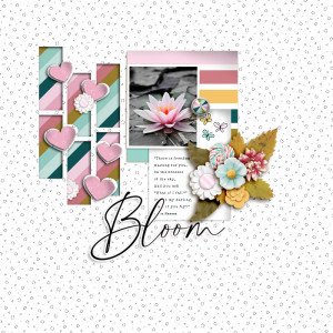 FF_feb25_MPM_JJD_Bloom