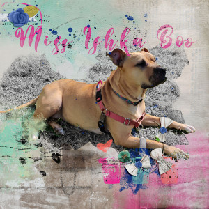 Miss Ishka Boo - Feb Featured Product Challenge