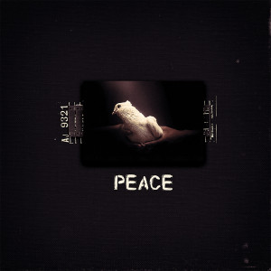 Peace