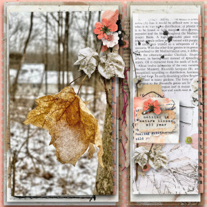 Seasons