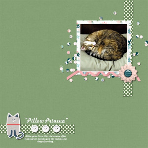 Pillow Princess