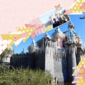 Disneyland Castle