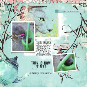210628_cat Drink