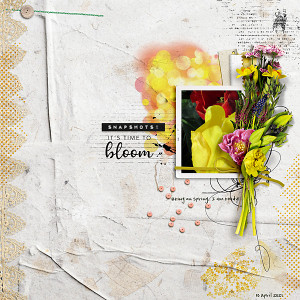 Time to Bloom