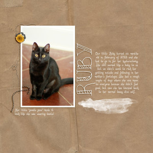 ScrapliftChall_Mar2022