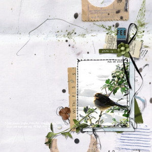 Marilyn_Rachel-Jefferies_2022-03_March_TLP_BYOC_0304_Enduring_Collages_web
