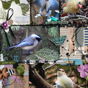 Marilyn_Rachel-Jefferies_2022-03_March_TLP_BYOC_0304_PocketArt11_web800