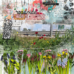 Roadside wildflowers