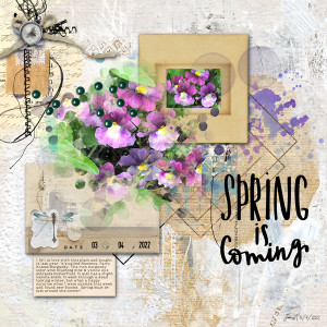 NBK Slow Scrap_nemesia