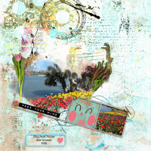 Nbk-AC49-slowscrap343022web