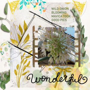 Nbk_scrap_wildonion-7_99