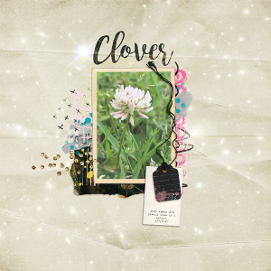 Clover