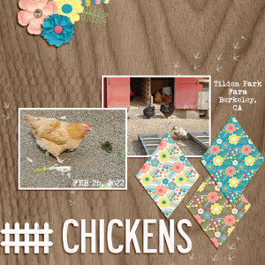 Chickens