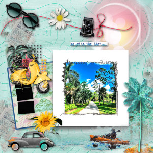 Nbk slow scrap {Out and About}