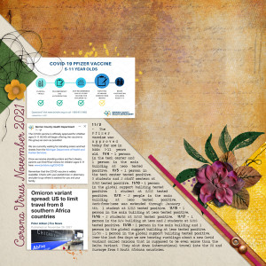 November 2021 Covid Stuff
