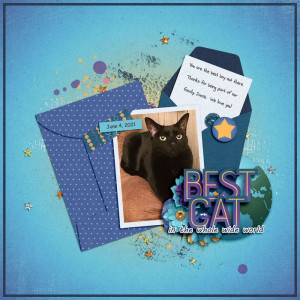 Best Cat