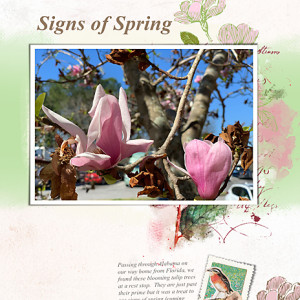 Mar2022_random-chall_flowersgal_web