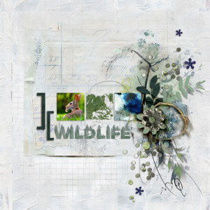 SOSN_mar9_NBK_PRD_Wildlife