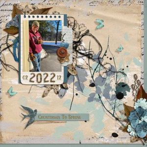 2022.03-mar-template-challenge-dd