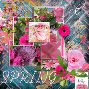 Blooms