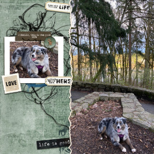 2022-03-TLP-Template-Challenge