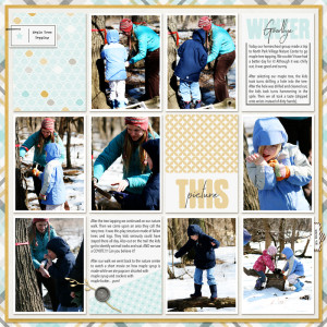 2008 Maple Tree Tapping