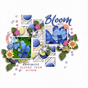 SOSN_mar9_Mom_JJD_Bloom