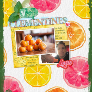 03-08-LOD-paulakesselring-clementines