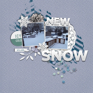 NEW SNOW