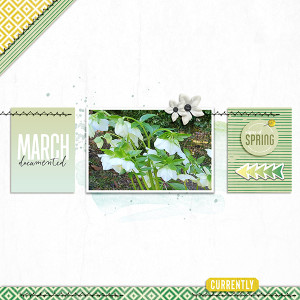Signs Of Spring
