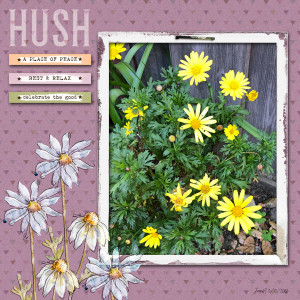 Photography_hush
