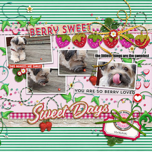 Berry Sweet