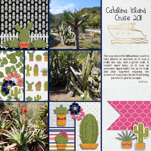 2011 Cactus Catalina Island