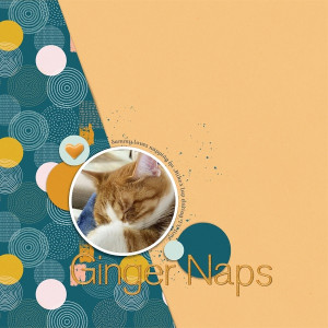Ginger Naps