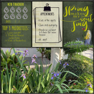 Spring Planning