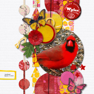 Paula-Kesselring_2022-03-March_New_0318_Mixed-Various_Cardinal_web