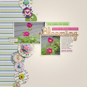 2017_6_Blooming