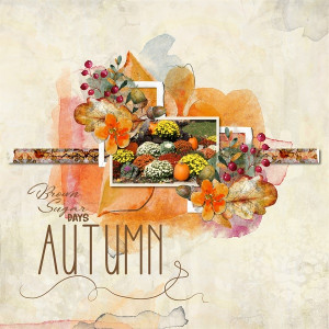 Autumn - Brown Sugar Days