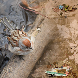 March 2022-Inspiration Challenge